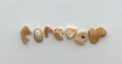 Natural Letter Shaped FOREVER beach shell fragment seashell craft pebble art USA