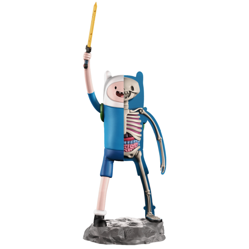 XXRAY ADVENTURE TIME FINN Jason Freeny H11cm(4.3in) Figures | eBay