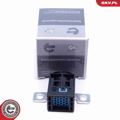 ESEN SKV Überspannungsschutzgerät Generator 96SKV319 für VW TIGUAN AD1 AX1 BW2 6
