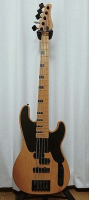 Schecter MODEL-T Session5 5-string bass Safe Packing!