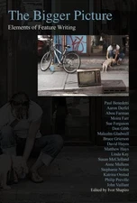 The Bigger Picture: Elements of Feature Writing - paperback Ivor Shapiro