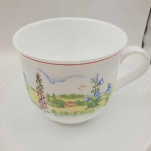 Arcopal France Coffee Pot 2 X Cups & Saucers, Sugar Bowl 1960/1970's Heidi Boxed - Picture 10 of 17