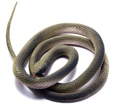 2 Pcs Rubber Snake Realistic Gag Gifts Plastic Funny Snake 47 Inch
