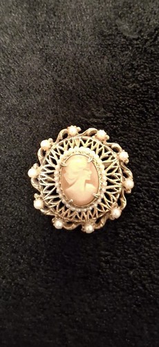 Beautiful Vintage Collectible Cameo Brooch