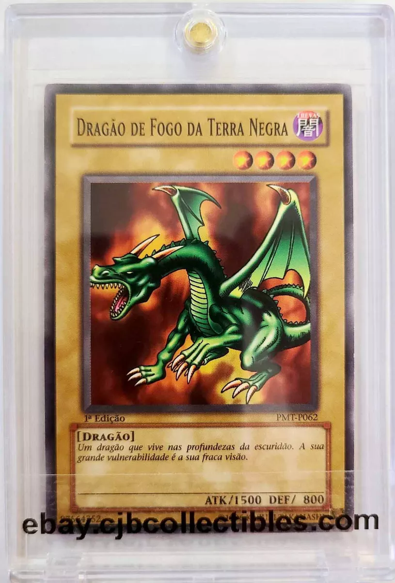 Pokemon Dragao de Fogo 5