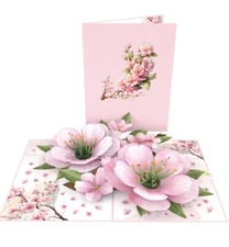 Pop Marks Beautiful 3D Pop Up Card Beautiful Cherry Blossoms 