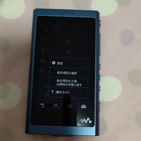 Sony Walkman Nw -A50Reries | eBay