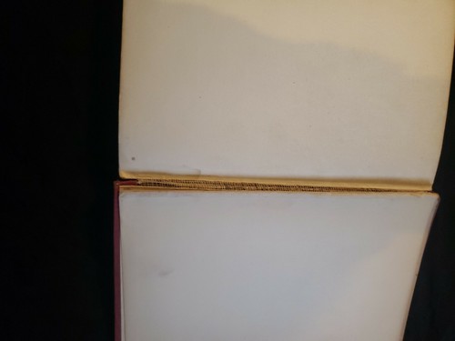 The Son Of Wallingford antique collectable rare unique book - Picture 4 of 5