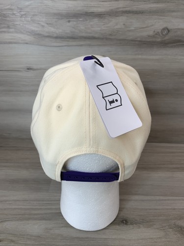 Nike TCU Texas Christian Horned Frogs Rise Gorra Estructurada Sombrero Talla Adulto M/L NUEVO - Imagen 3 de 10