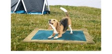 Roll-Up Dog Bed Mat, Medium, Tan/Teal