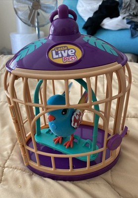 Little Live Pets Lil' Bird & Cage - Jungle Series Pango Bird Works