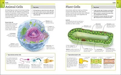 Biology: The Ultimate Bitesize Study Guide (Supersim...