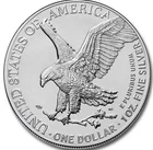 2026 1 oz American Silver Eagle Coin BU