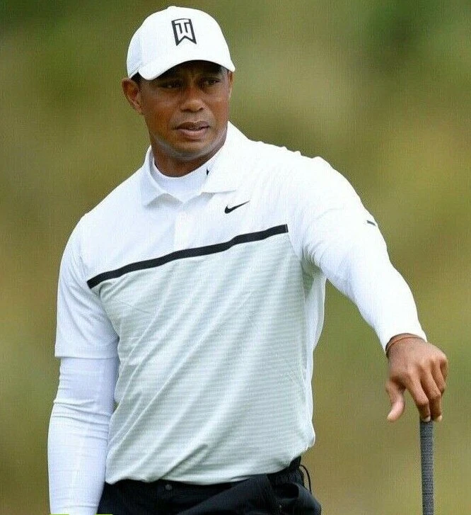 Nike Men s Dri FIT Tiger Woods Vapor Striped Golf Polo White XL