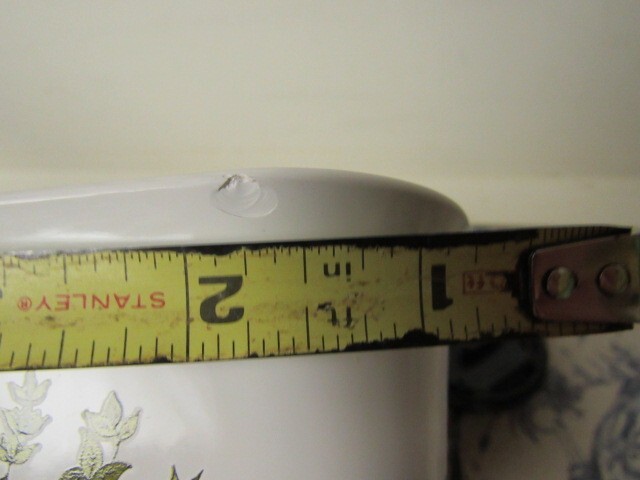 Picture 11 of 12