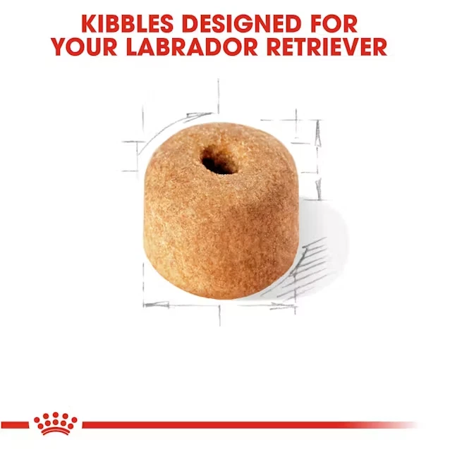 FLASH SALE!!! Royal Canin Labrador Retriever Adult Dry Dog Food, 30 lb FREESHIP - Image 2 of 4