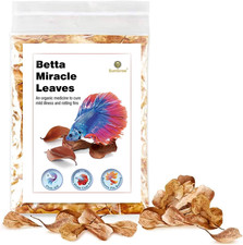 50 Pcs Mini Catappa Indian Almond Leaves for Betta Fish Aquarium, Shrimp, Frogs,