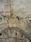 Bild 11 von 11