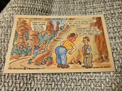 Reg Manning Travelcard No37 You See The Derndest Sights Here Humor Postcard (161