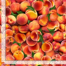 Fresh Fruit Fabric  Packed Peaches Orange  Timeless Treasures YARD