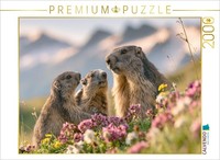 Calvendo Puzzle The Joy Of Reaching The Summit With A View | 2000 Pieces, Finish