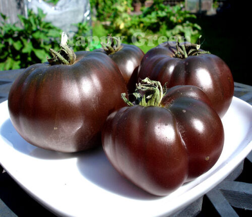 VEGETABLE BLACK TOMATO - 60 SEEDS - BLACK PRINCE - Tomato seeds - Heirloom - Picture 1 of 2