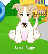 Webkinz Borzoi Puppy Virtual PET Adoption Code Only Messaged Webkinz Borzoi Code