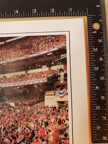 Angels Baseball Tim Salmon Signed 9.5x27 The Magical Comeback Photo Poster (PSA) - Picture 7 of 14