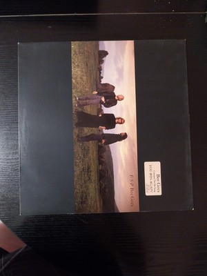 Bee Gees ESP  LP Vinyl