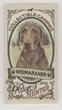 2019 Topps Allen & Ginter Collectable Canines Minis Weimaraner #CC-21 1u1