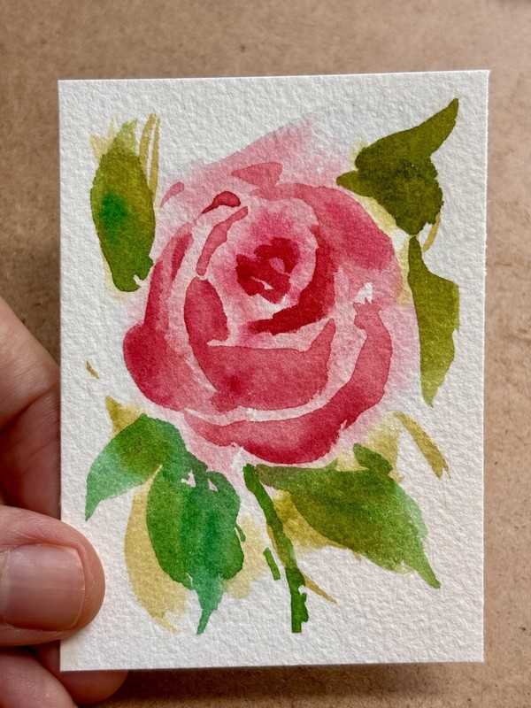 Pink Rose – Original Watercolor ACEO Miniature Painting by Susan Monroe
