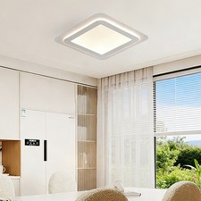 Elegant Modern Design LED Ceiling Light for Hallway,Walk-in Wardrobe,Corridor