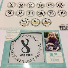 NWT Pearhead Pregnancy Milestone Photo Sharing Belly Stickers social media