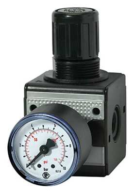Riegler D-Regler multifix / G 1/4 BG1 / 0,5-10 bar / Manometer - 100417