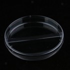 Foto 12 di 38