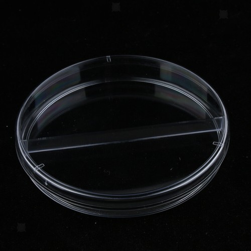 10 Pezzi Piatti Petri Plastica 35-90MM Piatto Coltura Cellulare Sterile Resistente alle Alte Temperature - Foto 12 di 38