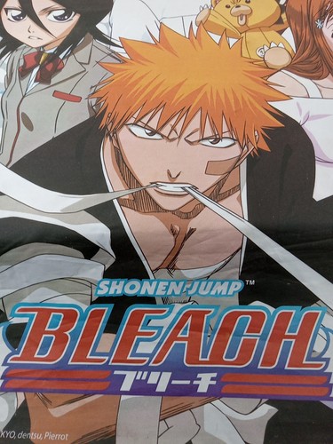 Vintage Bleach Shonen Jump Bleach Wall Scroll 31" x 44" Fabric Poster Tite Kubo - Picture 7 of 23