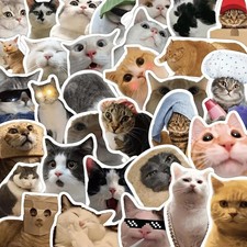 50 Meme Cat Stickers Kawaii Funny Gift Waterproof Stickers