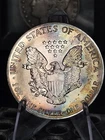 1991 American Silver Eagle $1, With AMAZING Toning? NICE COIN!! Beautiful Coin!!