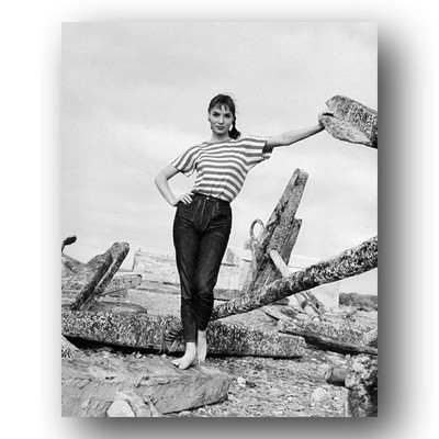 Elsa Martinelli Photo 8x10 Portrait 1960s Italian Actress Film Still