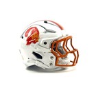 Custom Tampa Bay Buccaneers retro Pocket Pro Helmet Riddell 3d printed — photo 1