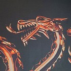 Picture 6 of 11