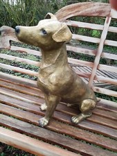 Chien Jack Russel terrier