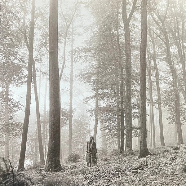 Taylor Swift/Folklore (1. The In The Trees Edition Deluxe Vinyl)( 3503488 LP