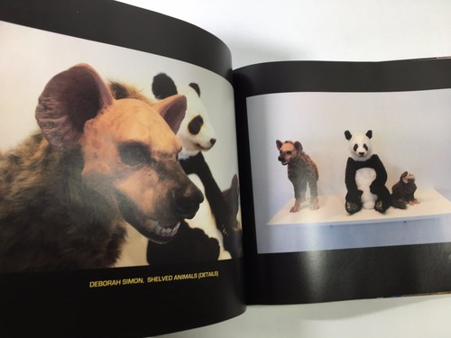 Parsons Hall Project Space 2008-2010 Exhibition Catalog 1 Holyoke Massachusetts - Imagen 5 de 9