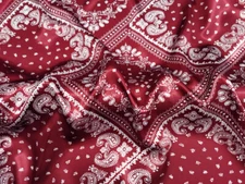 Wild Rag Scarf Western Cowboy Buckaroo Scarves Bandana Cowgirl Paisley 40"