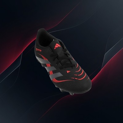  Adidas PREDATOR  CLUB FG/MG Top Neu FUSSBALL  Fussballschuhe Gr.45 1/3