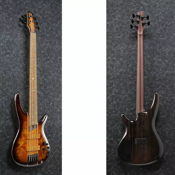 Ibanez sr5pbltd 2024