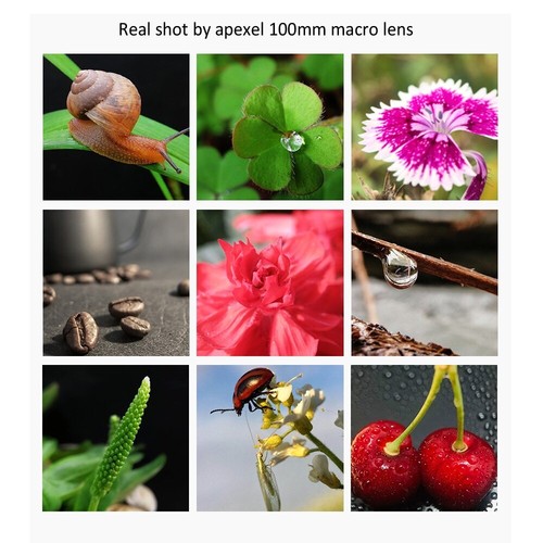 Cámara de teléfono profesional APEXEL 4K HD 100 mm lente súper macro para iPhone Android - Imagen 6 de 13