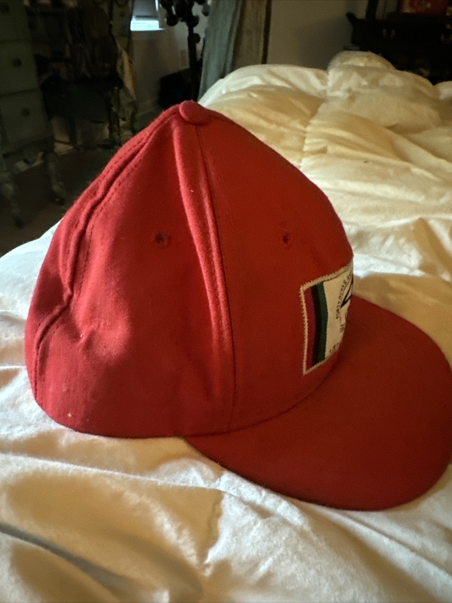 40 Acres and a Mule Filmworks キャップ Spike Lee 40 Acres And A Mule Filmworks Snapback Hat Cap
